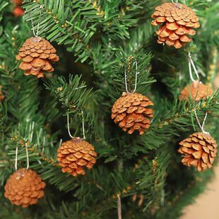 �ɹ��ɻ��͏d�[�O��Ȼ�ɹ������廨�ֹ��Ĕz����DIY�}�Q���b�