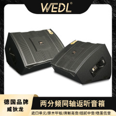 WEDL プロフェッショナル 12inch アンチリスニング スピーカー屋外ステージ パフォーマンス バー同軸 15inch モニター オーディオ