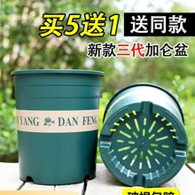 �Ӻ��¿�����1235�Ӂ�����ô������Ͽظ���߿��¼�����������