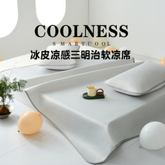 夏用マット%ナイロンアイスシルク冷感サンドイッチ洗えるマット学生寮3点セット