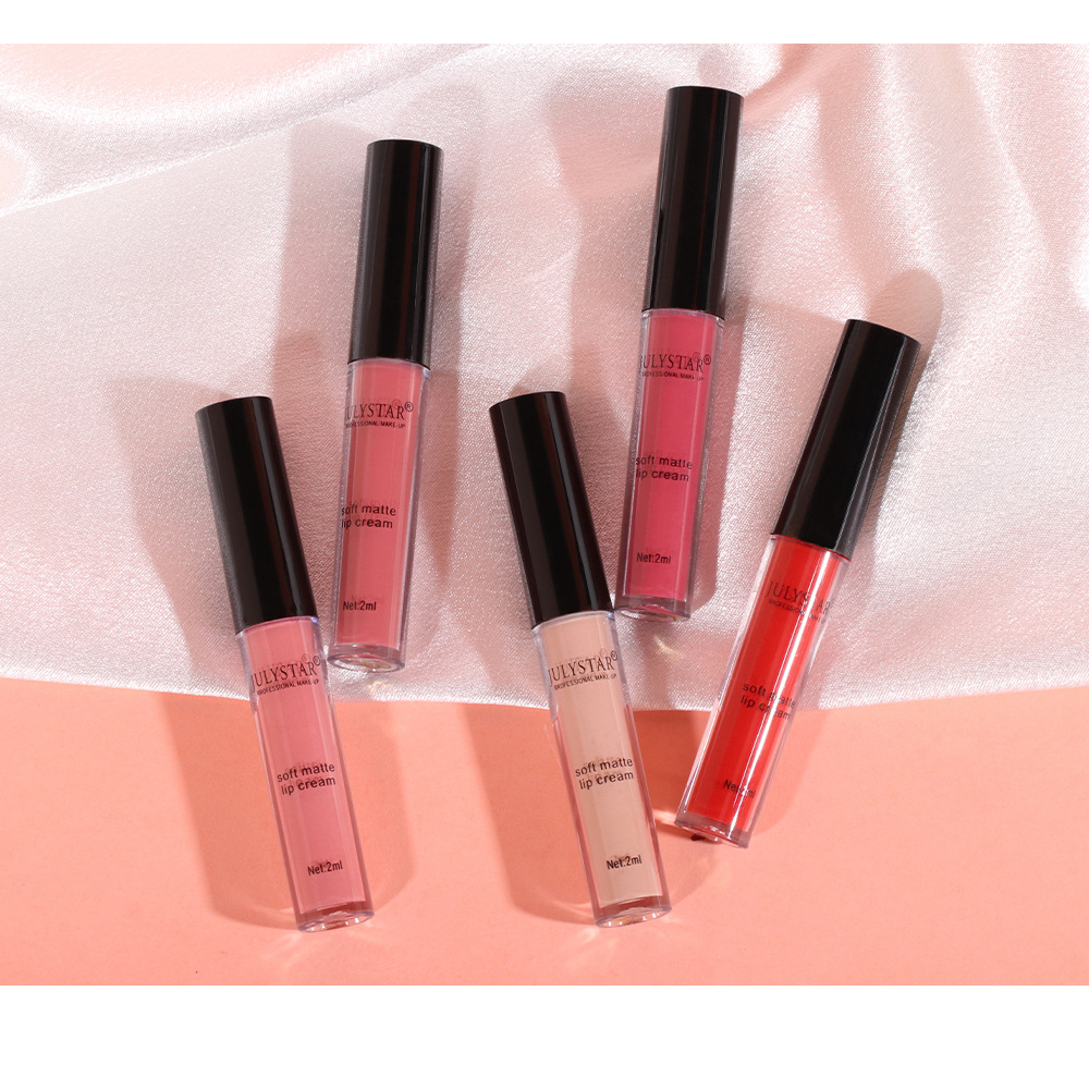 carina Trucco opaco, lucidalabbra multicolore, colore facile da applicare, set di rossetti a tazza antiaderente, a lunga durata_voghion.com