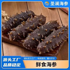 海参;水产礼盒类;干品/即食海参