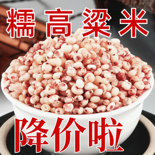 Ŵ������ �|�����ڸ����t����ȥƤճ�������r���Ԯa������������