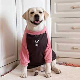 拉布拉多春秋薄款衣服可爱大型犬金毛衣服潮牌网红狗狗衣服卫衣