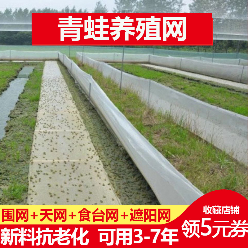 青蛙养殖围网防逃网养蛙围网蟾蜍食台网牛蛙防虫网专用网布包邮