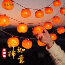 2025�����������Ӹ��֒���ʟ������^����w�͏d�Շ���������̫��