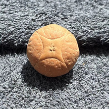 �����Ჴ���P�����������ۆ��w��ͨ��������ό����^�����ִ�����