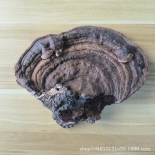 ɭ��֮��Ұ��ƽ�w�`֥500g�����ľ�`֥��������֥һ���b����Ƭ