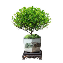 С�~����Ϙ������辰����ֲ���҃Ȼ����k��������С�Gֲ���B�ļ�