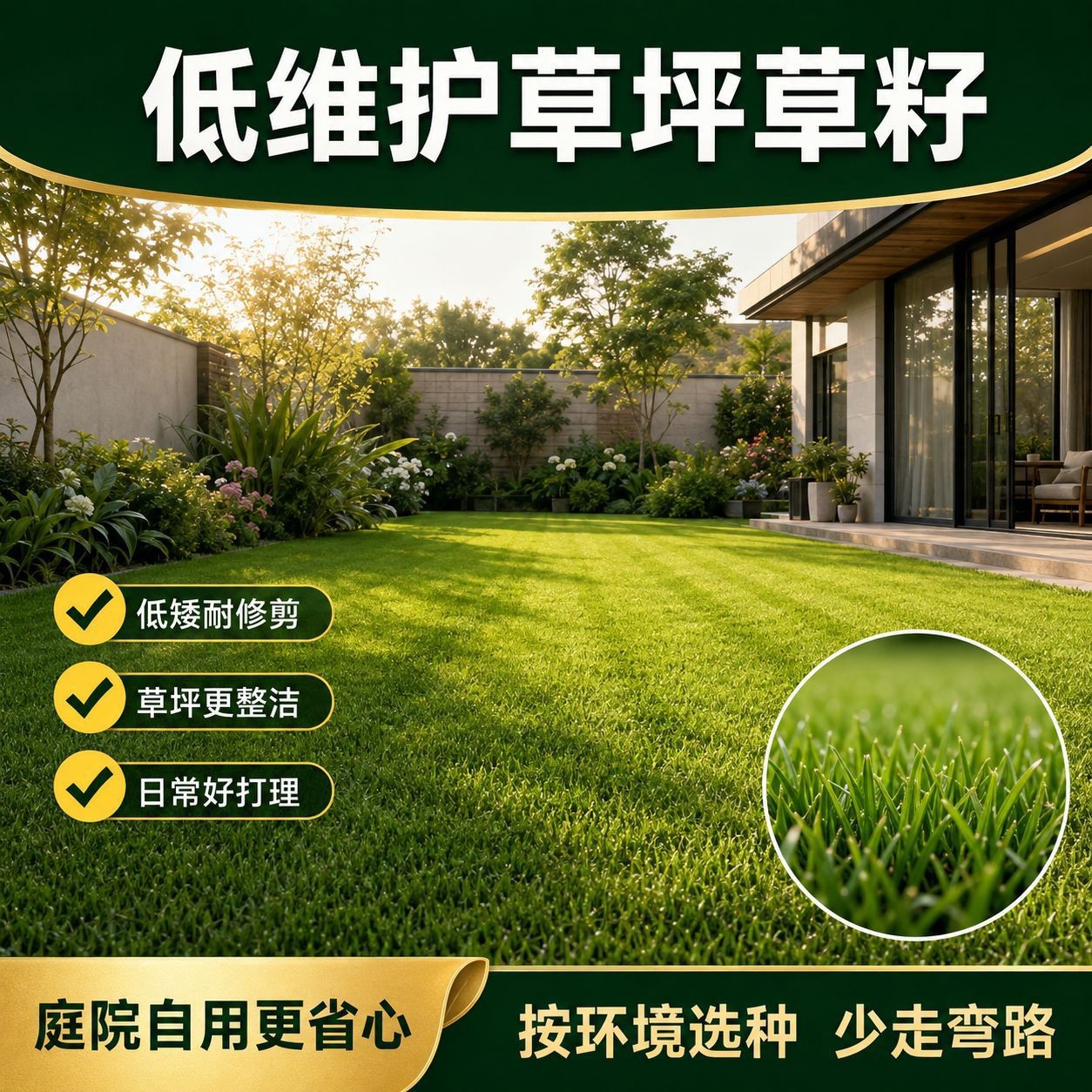 草籽草坪种子四季青耐寒耐旱护坡狗牙根果岭草庭院用草种子