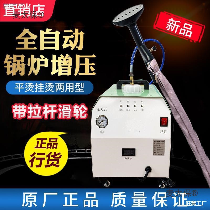 High-Power Ironing Rod Type with Water Tank, Fully Automatic Energy-Saving Boiler, Steam Garment Ironing Machine, Curtain Ironing Machine, Metabo