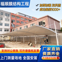 戸外レバー式自動車駐車場張拉膜自動車駐車場鉄骨構造電気自動車充電杭駐車場