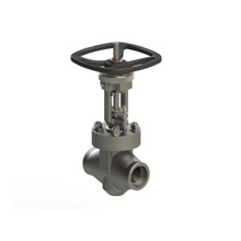 MALBRANQUE�l�yType 2 ���ʯ�ͺ���Ȼ���ИI�͉�����