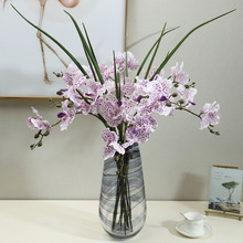 ���e���滨�f���m�͏d�����b[���ٻ����滨���zӰ���ߏS�����l