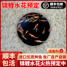 �^�p�~���ձ��\��ˮ���~����w���N�M�ڼt�״����Ѻ��^�p�~��ˮ�~