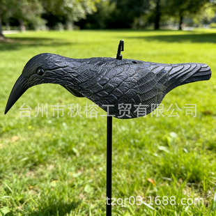 ��Ƭ���f���l�yע�ܹ�ˇƷ���Ϟ��f���T�D���C���f�������ӹ�ˇƷ