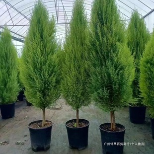 ���B�ļ��҃���С�ڰ������}�Q����ζ��������㳣�Gֲ���̨����