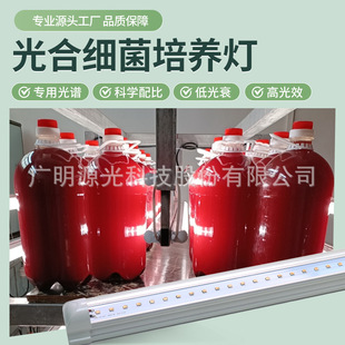 led��ϼ������B��24Wˮ�a�Bֳ�ӝɼt�نΰ������B�������ﷴ����
