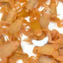 �^�p�ܽ��ܲ������~��σ�ͯ������ܻ��w��ˮ��ˮ���B�ͻ�����