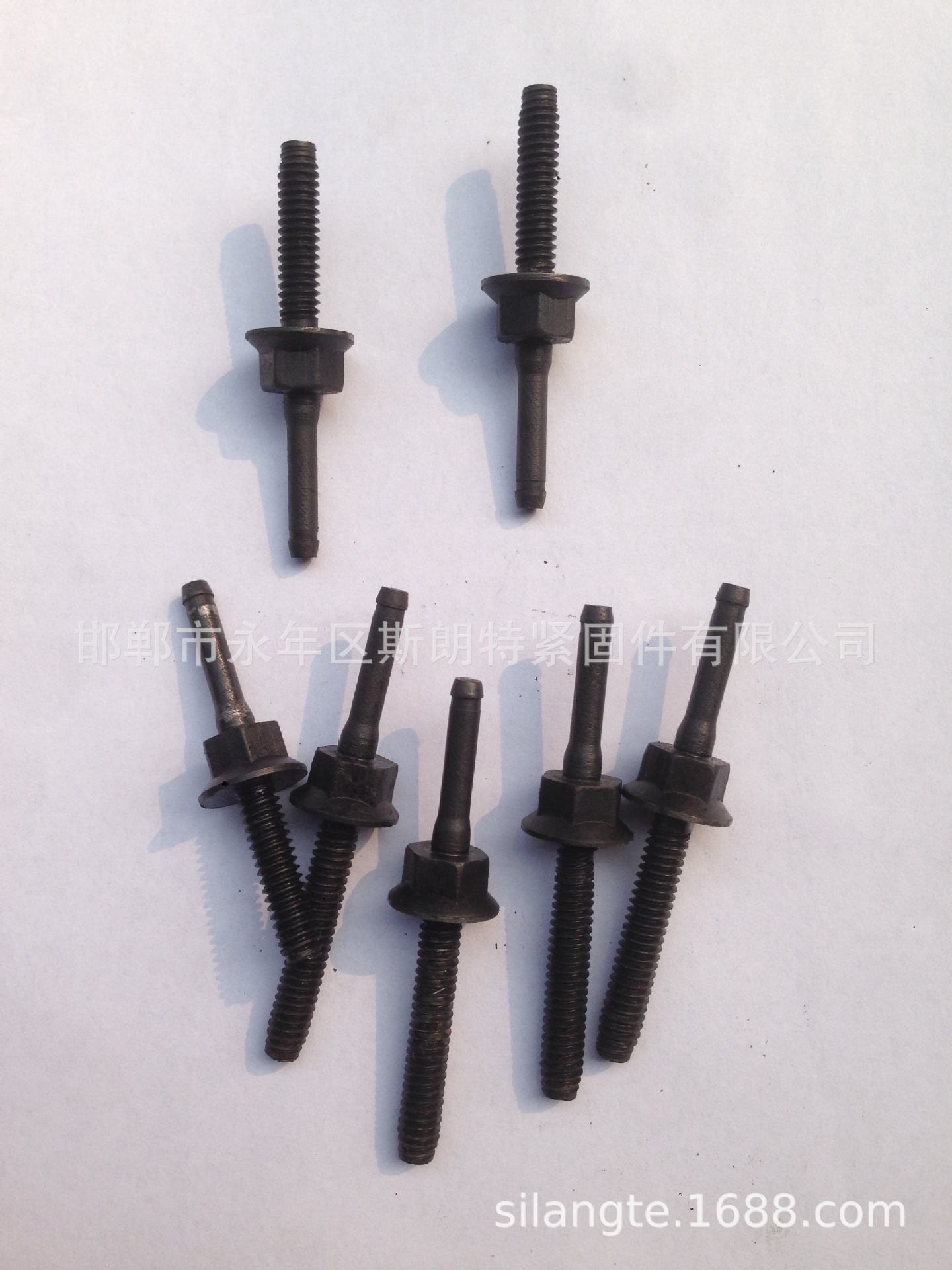 ľ��˿ ��ͷľ�ݶ� ASME B 18.2.1����ͷľ�ݶ� AS /NZS 1393