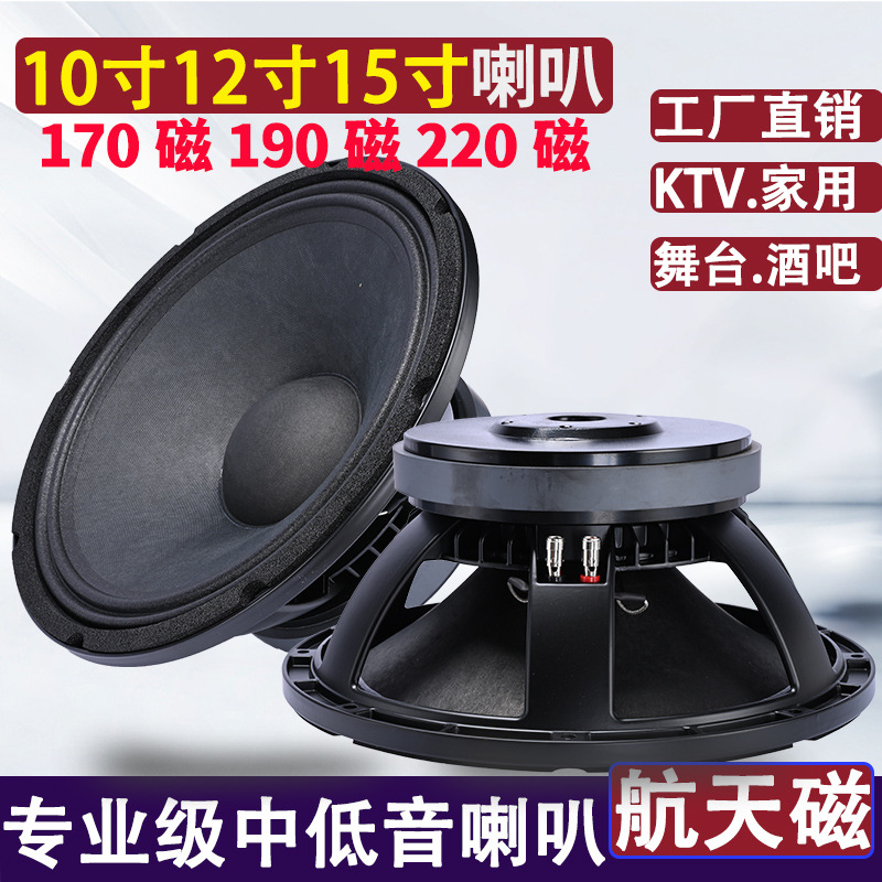 Subwoofer profesional de audio para escenario KTV de 10 pulgadas, 12 pulgadas, 15 pulgadas, con imán de 190 y 220, núcleo de 100.