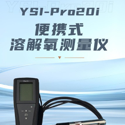 美国YSI便携式溶氧仪 pro20i便携式溶氧仪,YSI pro20i溶氧仪