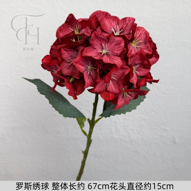 Hortensia de Ross