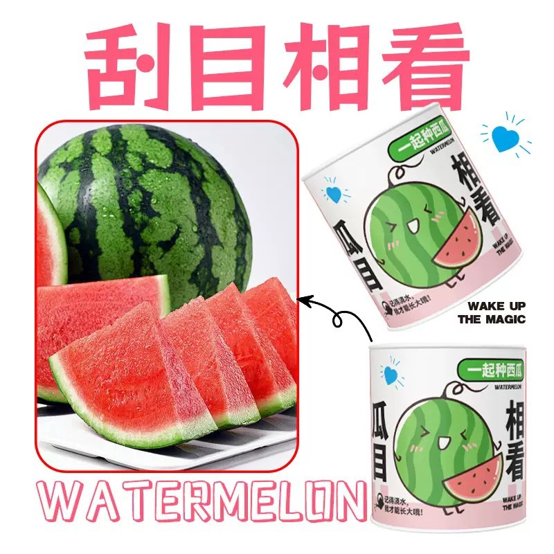 แตงโม [มองเมล่อน] โหลสติ๊กเกอร์คุณภาพ