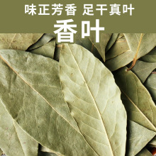 香叶散装干八角桂皮香料粉商用整片大料500g批发月桂叶干新货草本