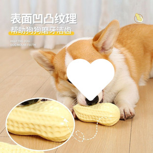 ������ߴ�����ҧĥ���ɐ۴�С���␞��������˺����������