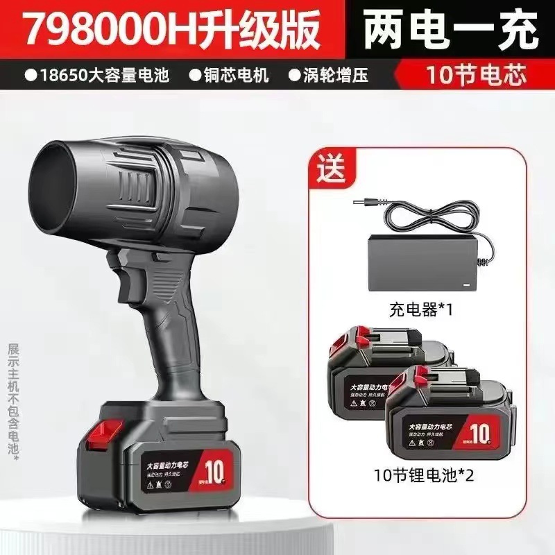 배터리 10개와 배터리 2개가 포함된 고급스러운 모델