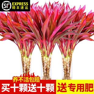 �������\���^���F��ˮ��ֲ��֗U�����͏d��ؔ�����҃Ⱥ��B���