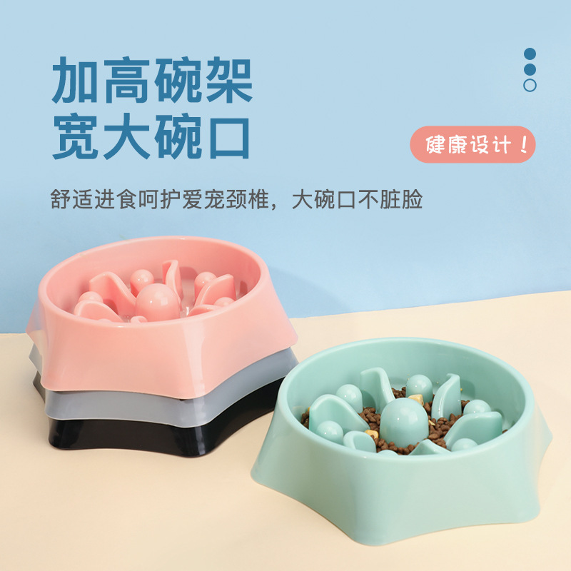 ペットの遅い食事の碗は首を保護します。|undefined