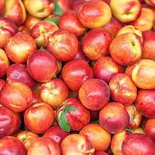 油桃批發現摘黃心3斤5斤新鮮孕婦水果當季水密桃脆桃脆甜大果整箱