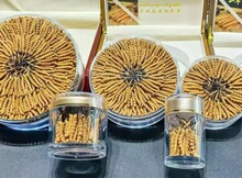 2025�¸ɲݶ��x�Ĳ���Ʒ�����������x����������y���aƷ�ͶY�Y��