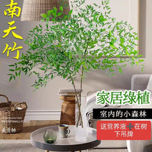 ˮֲtˮB҃r֦RRľƽGֲ