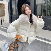 ��Óж��ë�I�̿�Ӻ���q��Ů2026�궬��С���ӌ��ɿ����������