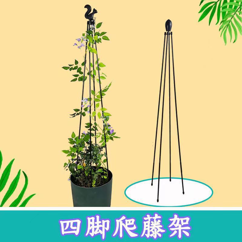 微信图片_20220529112955