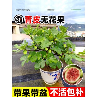 ������Ƥ�o����������ش���������Ԙ����ϱ���ͥԺ�ļ�����Nֲ