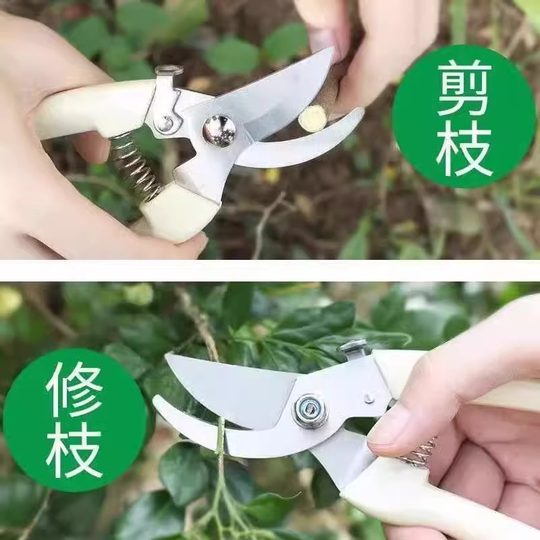 German imported steel coarse branch shears labor-saving pruning shears gardening trees fruit trees grafting garden shears labor-saving tools