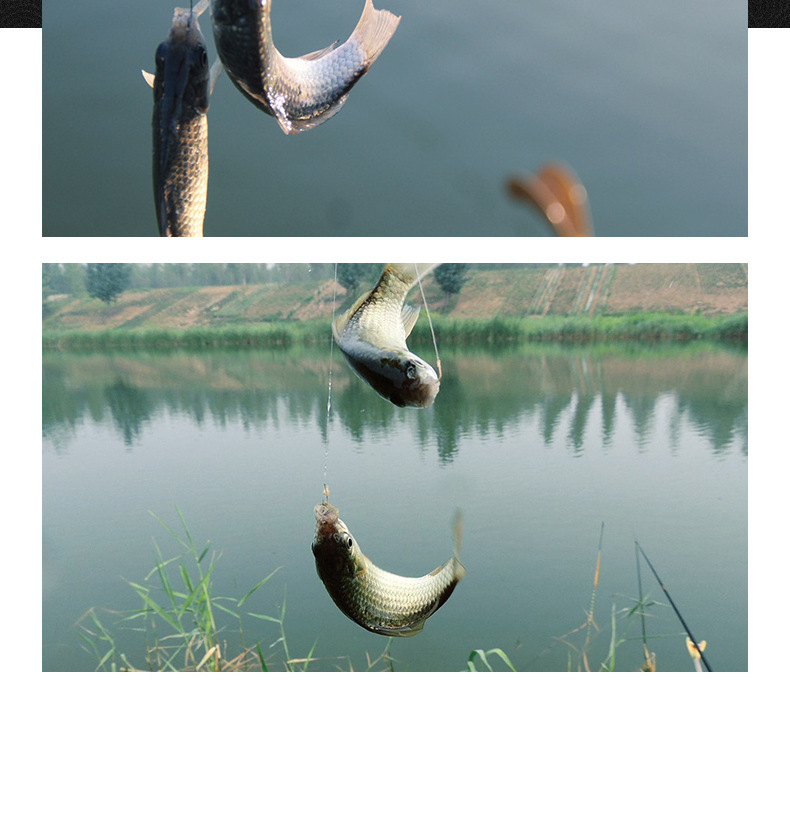 伊势尼子线双钩_20