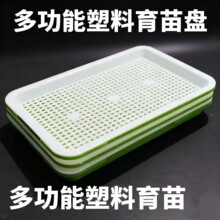 水培网格盘芽苗菜育苗盘阳台种菜盆蔬菜豆芽托盘蒜苗豌豆小麦