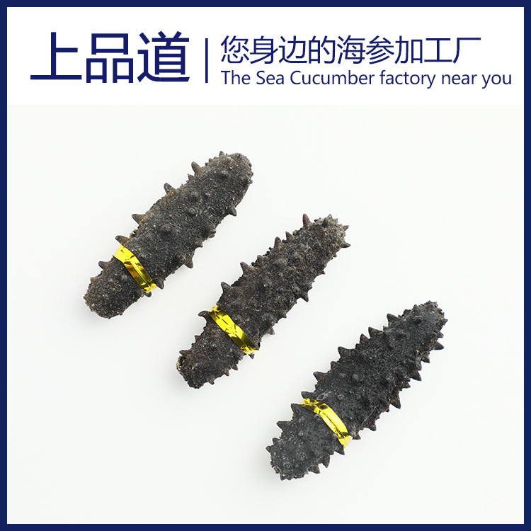 【海参工厂】淡干海参批发福建刺参非干货厂家直供一件代发50g|ms