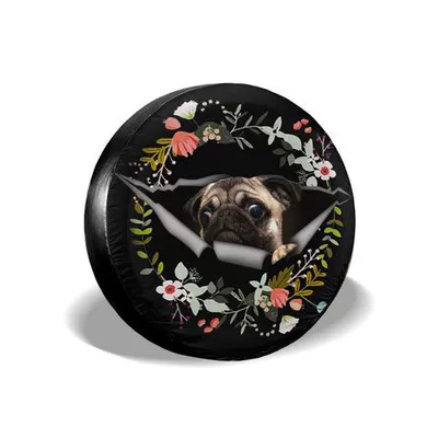 Spare wheel cover: Camping Car Hobby Tire