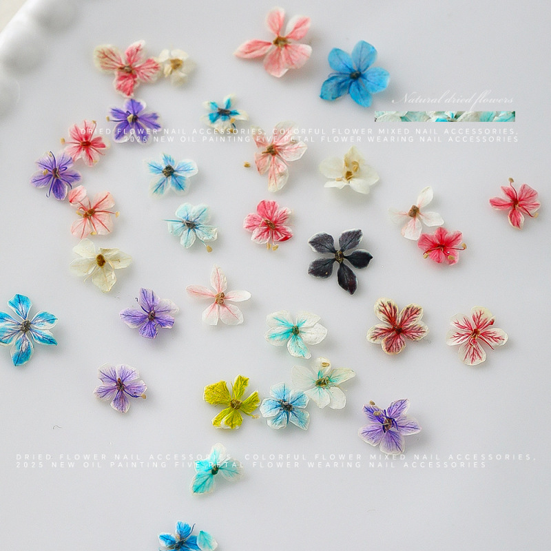 网红美甲干花夏日渐变花朵混彩天然压花干燥DIY盒装穿戴甲材料品|undefined