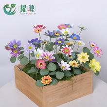 СrռҾӿ͏dbɣֈ@쾰ʾ_mٻ