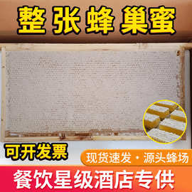 新鲜整张蜂巢现割嫩蜂密自然成熟封盖新蜂蜜块原蜜多种分割百花蜜