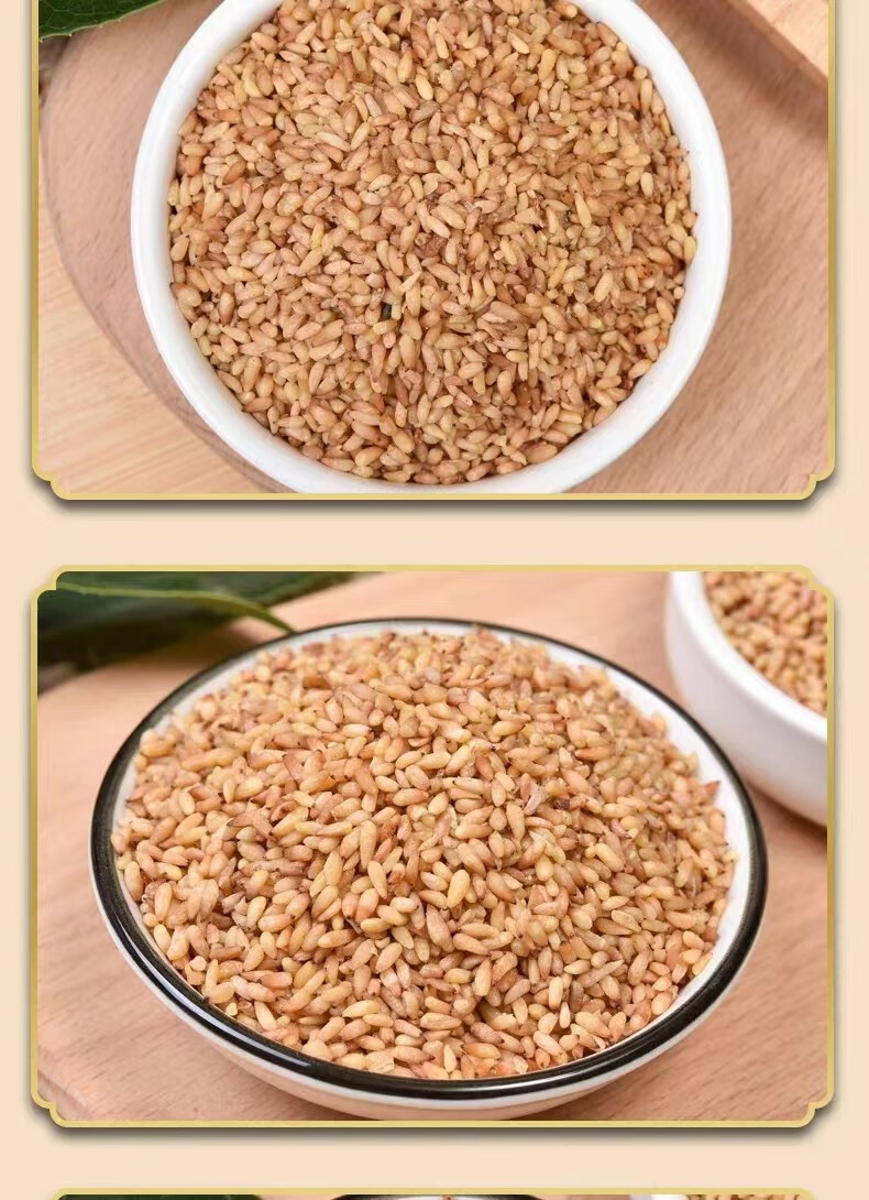 Platycladus Seed Bi Zi Ren 500g Dried Platycladus orientalis Seed Kernels for Decoction and Tea specifications