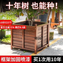 ����ľ�������ͥԺ�����ηNֲ�䳬�������⻨���ش�̖�N������