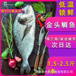 新鲜金头鲷鱼刺身寿司日料自助餐食材供应